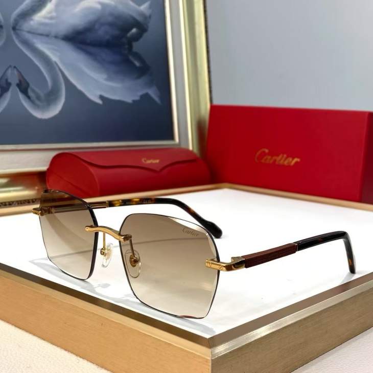 Picture of Cartier Sunglasses _SKUfw79616062fw